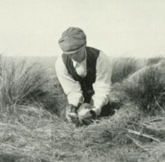 Frank Mervyn Littler