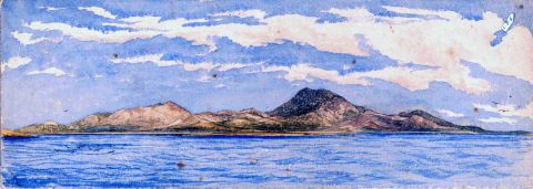 Cape-Barren-Franklin-Islet-1876